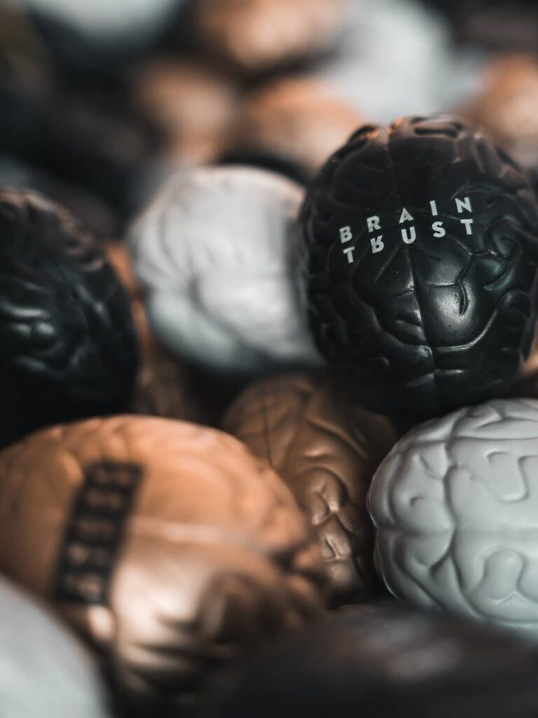 Brains