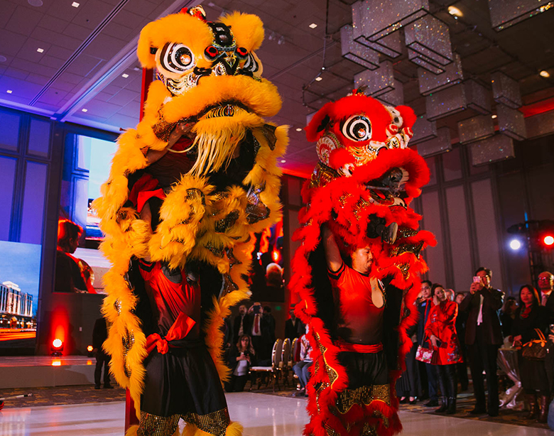 Dragon costumes
