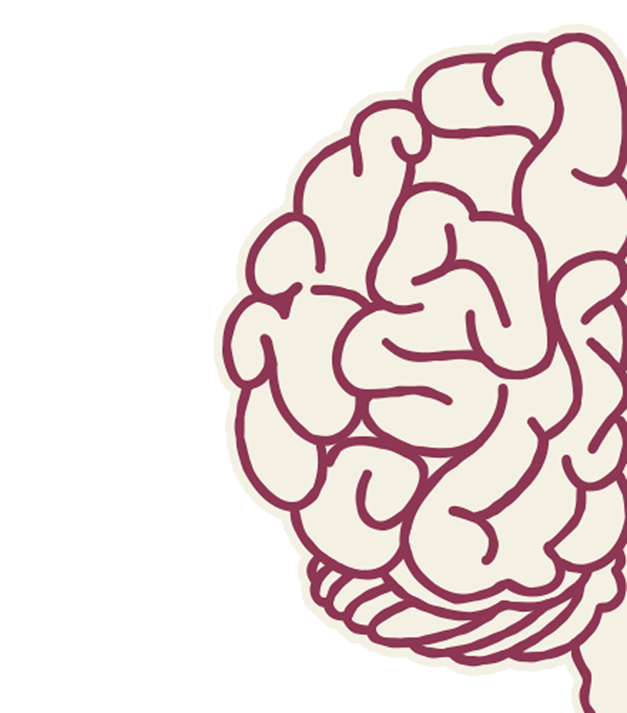 Left Brain Hemisphere