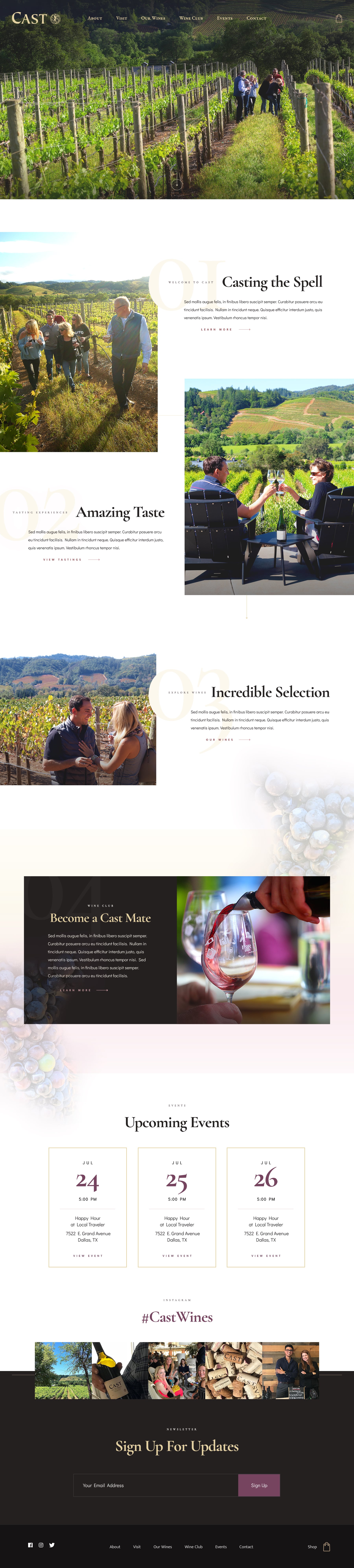People enjoy a wine tasting event outdoors in a vineyard, surrounded by grapevines and scenic views.